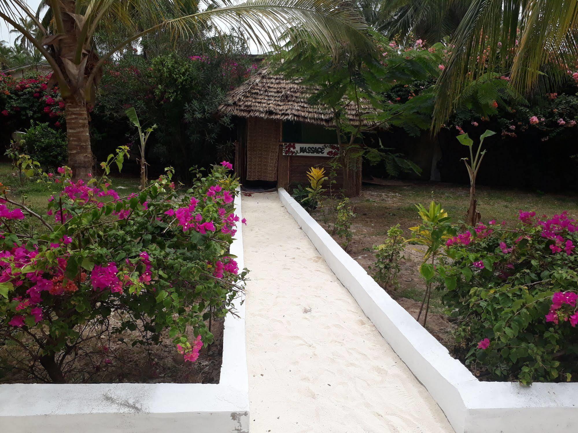 Hotel Albatross Ocean View Dongwe Exterior foto
