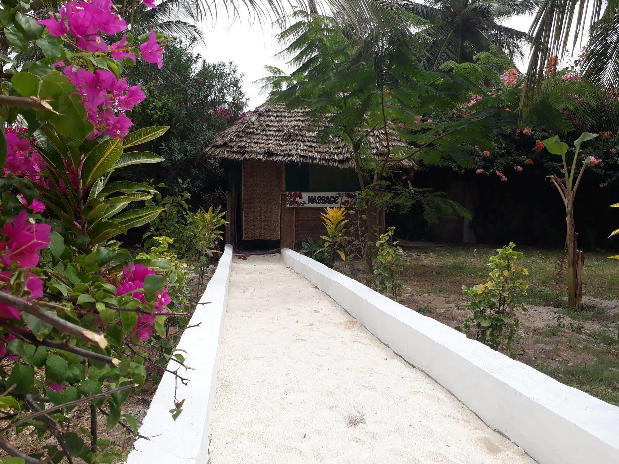 Hotel Albatross Ocean View Dongwe Exterior foto