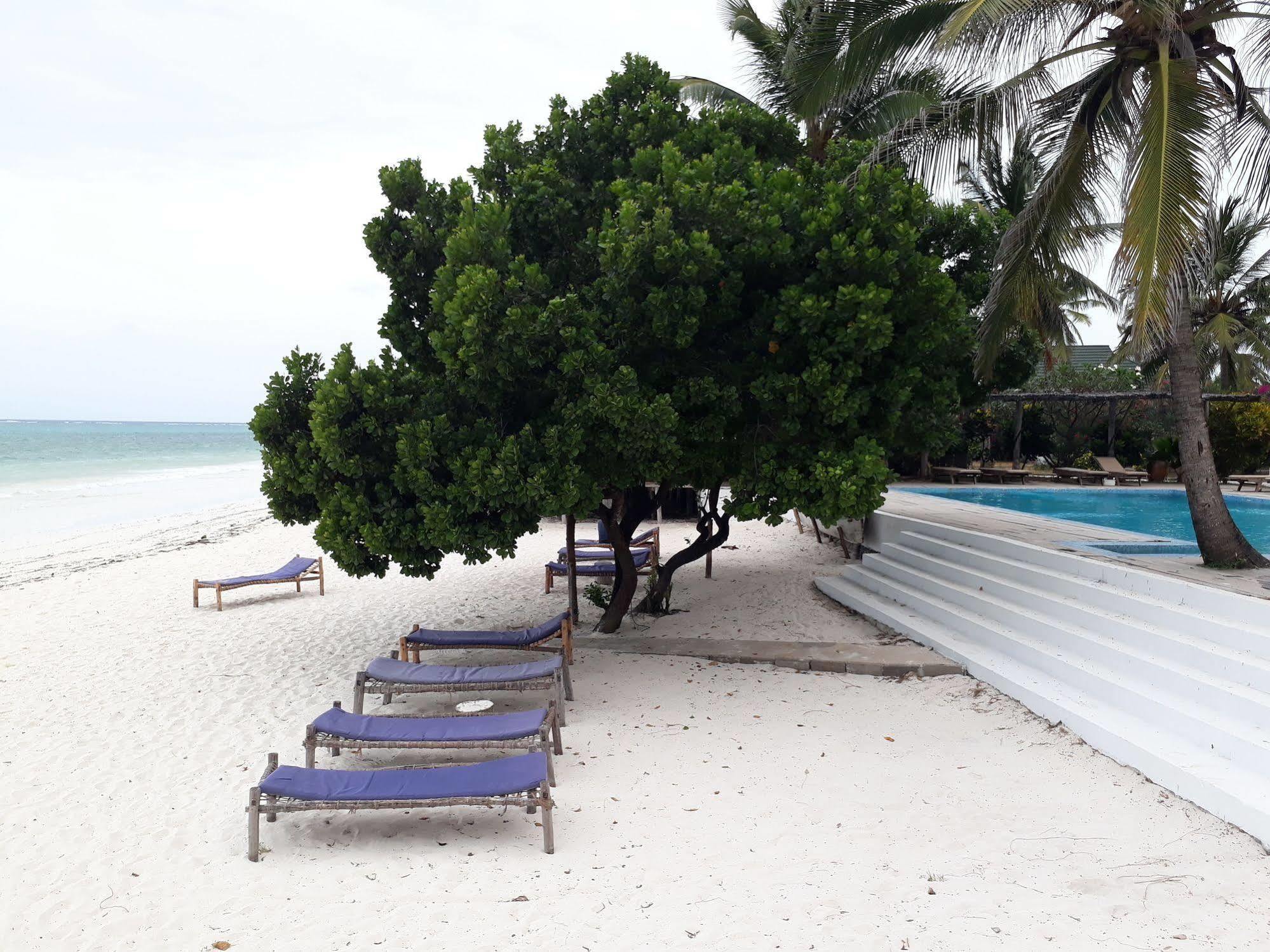 Hotel Albatross Ocean View Dongwe Exterior foto